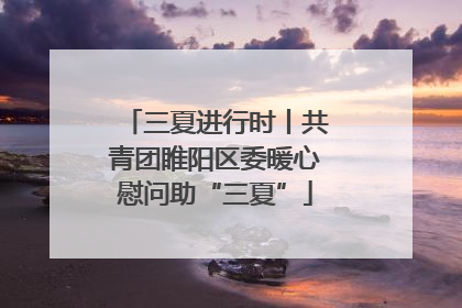 三夏进行时丨共青团睢阳区委暖心慰问助“三夏”